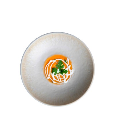 Adrier - RDP264-GIN / Colección GINGER - Plato hondo - 26,4 cm x 5 cm alto