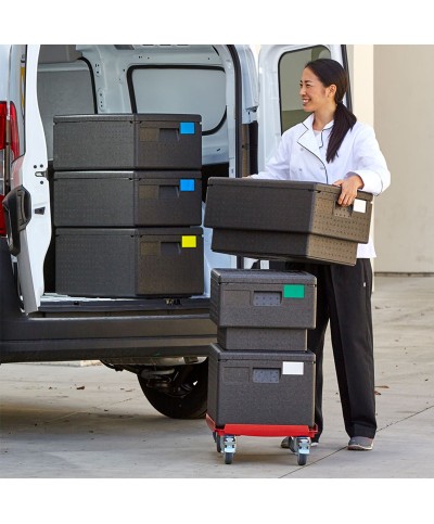 Cambro - CD3253EPP-158 / Carro Camdolly para todos los modelos de contenedores EPP con tamaño GN (1/1) - (53 x 32,5 x 3,7 cm)