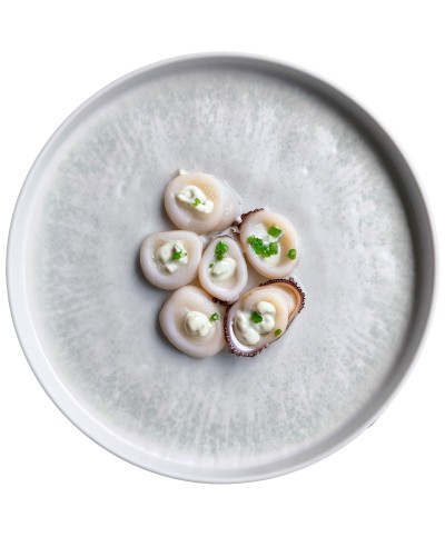 Adrier - RPSE305-BRU / Colección BRUMA - Plato redondo c/borde recto - 30,5 cm x 2,5 cm alto