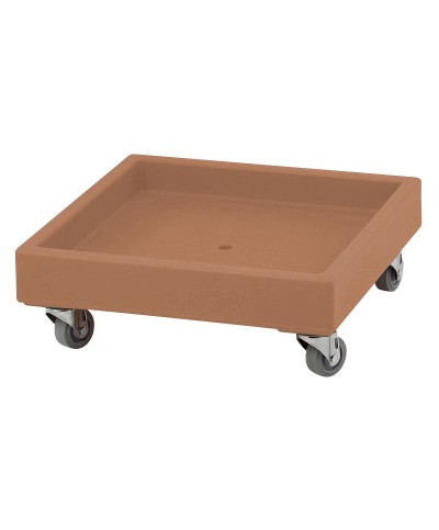 Cambro - CD2020-157 / Carro de transporte Camdollie para cestas de lavado - (57 x 57 x 21 cm)