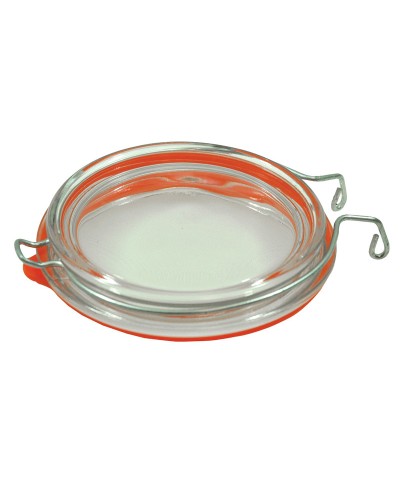 Tapa de repuesto para dispensadores BDG2000 y 123495