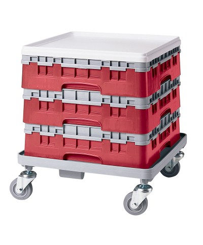 Cambro - 20S318-416 / Cesta de lavado (50 x 50 cm) para copas y vasos con 20 comp. 1 alt. - dia. máx. 9,84 cm alt. máx. 9,4 cm