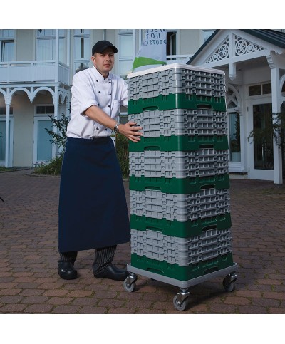 Cambro - 25S800-119 / Cesta de lavado (50 x 50 cm) copas y vasos con 25 comp. 4 alt. - dia. máx. 8,7 cm alt. máx. 21,7 cm