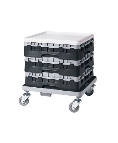 Cambro - 30S318-110 / Cesta de lavado (50 x 50 cm) copas y vasos con 30 comp. 1 alt. - dia. máx. 7,84 cm alt. máx. 9,4 cm