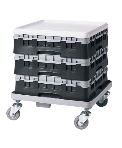 Cambro - 36S318-110 / Cesta de lavado (50 x 50 cm) copas y vasos con 36 comp. 1 alt. - dia. máx. 7,2 cm alt. máx. 9,4 cm