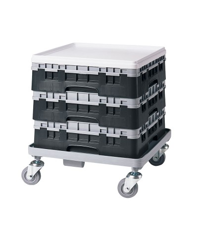 Cambro - 49S318-110 / Cesta de lavado (50 x 50 cm) copas y vasos con 49 comp. 1 alt. - dia. máx. 6 cm alt. máx. 9,4 cm