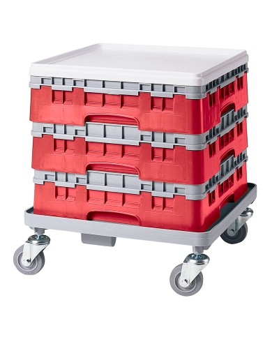 Cambro - 36S318-163 / Cesta de lavado (50 x 50 cm) copas y vasos con 36 comp. 1 alt. - dia. máx. 7,2 cm alt. máx. 9,4 cm