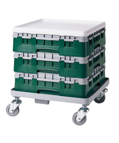 Cambro - 25S318-119 / Cesta de lavado (50 x 50 cm) copas y vasos con 25 comp. 1 alt. - dia. máx. 8,7 cm alt. máx. 9,4 cm
