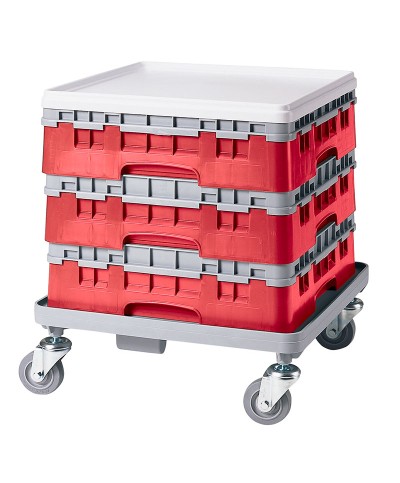 Cambro - 20S318-163 / Cesta de lavado (50 x 50 cm) para copas y vasos con 20 comp. 1 alt. - dia. máx. 9,84 cm alt. máx. 9,4 cm