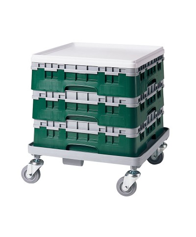 Cambro - 49S318-119 / Cesta de lavado (50 x 50 cm) copas y vasos con 49 comp. 1 alt. - dia. máx. 6 cm alt. máx. 9,4 cm
