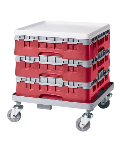 Cambro - 36S318-416 / Cesta de lavado (50 x 50 cm) copas y vasos con 36 comp. 1 alt. - dia. máx. 7,2 cm alt. máx. 9,4 cm