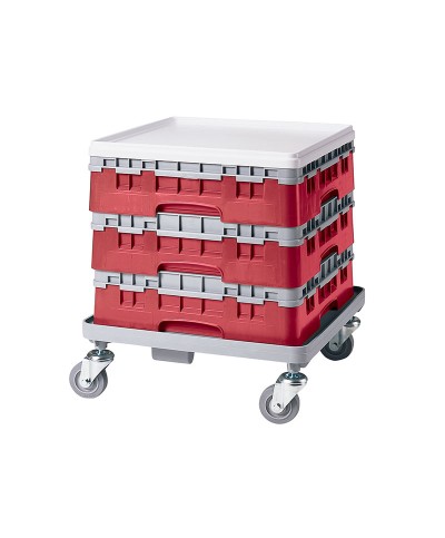 Cambro - 30S318-416 / Cesta de lavado (50 x 50 cm) copas y vasos con 30 comp. 1 alt. - dia. máx. 7,84 cm alt. máx. 9,4 cm