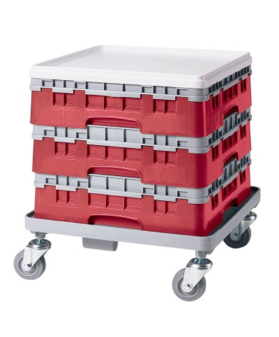 Cambro - 9S318-416 / Cesta de lavado de (50 x 50 cm) para copas y vasos con 9 comp. 1 alt. - dia. máx. 14,8 cm alt. máx. 9,4 cm
