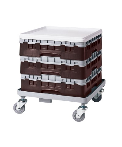 Cambro - 49S318-167 / Cesta de lavado (50 x 50 cm) copas y vasos con 49 comp. 1 alt. - dia. máx. 6 cm alt. máx. 9,4 cm