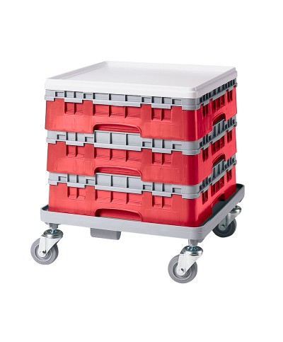 Cambro - 49S318-163 / Cesta de lavado (50 x 50 cm) copas y vasos con 49 comp. 1 alt. - dia. máx. 6 cm alt. máx. 9,4 cm