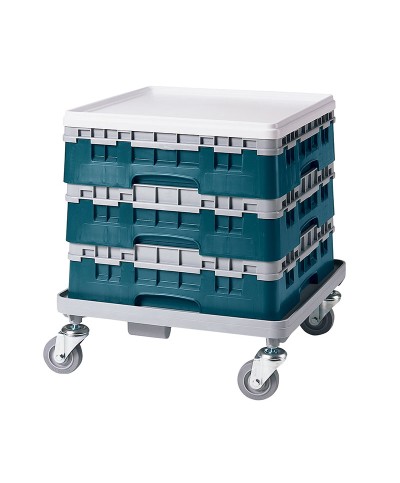 Cambro - 49S318-414 / Cesta de lavado (50 x 50 cm) copas y vasos con 49 comp. 1 alt. - dia. máx. 6 cm alt. máx. 9,4 cm
