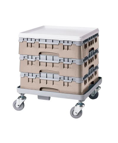 Cambro - 49S318-184 / Cesta de lavado (50 x 50 cm) copas y vasos con 49 comp. 1 alt. - dia. máx. 6 cm alt. máx. 9,4 cm