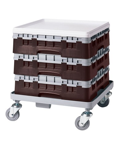 Cambro - 25S318-167 / Cesta de lavado (50 x 50 cm) copas y vasos con 25 comp. 1 alt. - dia. máx. 8,7 cm alt. máx. 9,4 cm