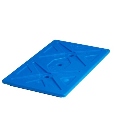 Cambro - CP6040-159 / Placa Eutéctica-fría para los contenedores modelos: BK60406 y BK60407  - (60 x 40 x 4 cm)