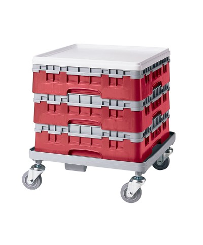 Cambro - 49S318-416 / Cesta de lavado (50 x 50 cm) copas y vasos con 49 comp. 1 alt. - dia. máx. 6 cm alt. máx. 9,4 cm