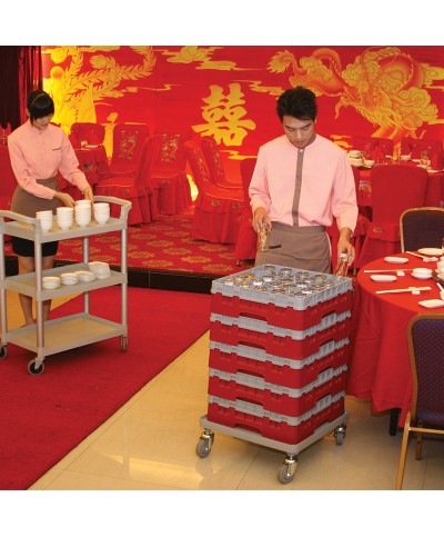 Cambro - 25S418-416 / Cesta de lavado (50 x 50 cm) copas y vasos con 25 comp. 1 alt. - dia. máx. 8,7 cm alt. máx. 11,8cm