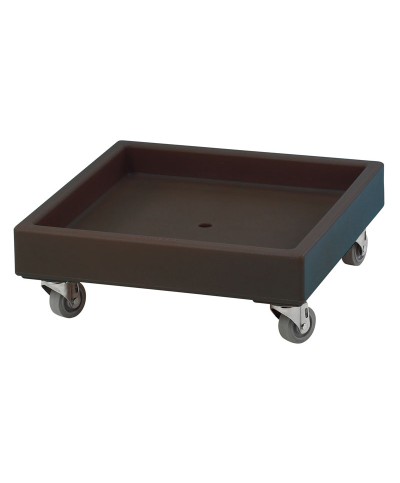 Cambro - CD2020-110 / Carro de transporte Camdollie para cestas de lavado - (57 x 57 x 21 cm)