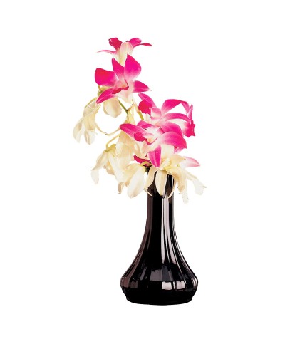 Cambro - Florero - 15,2 cm de alto