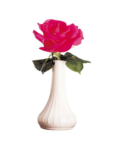 Cambro - Florero - 15,2 cm de alto