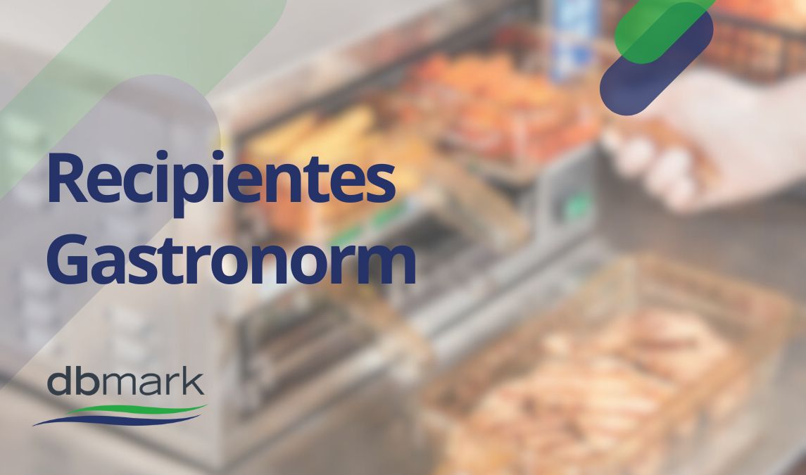 recipientes gastronorm