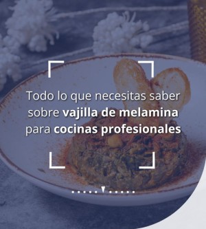 Todo lo que necesitas saber sobre vajilla de melamina para cocinas profesionales